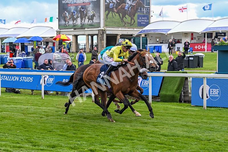 140526-Race 6-Dickensian-5813 - Race 6 4.40pm British Stallion Studs EBF Westow Stakes