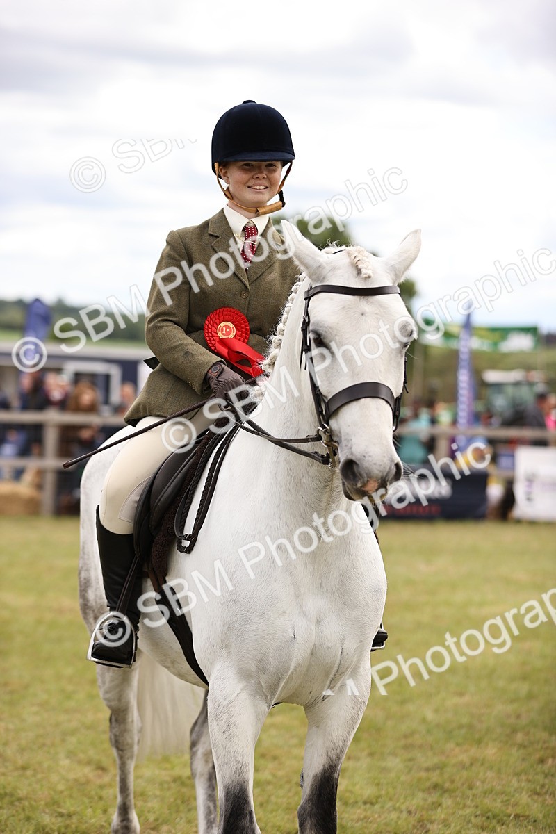 SBM_14627 - Class 88-89 - LIHS BSHA Rising Star of Ridden Hunter Type