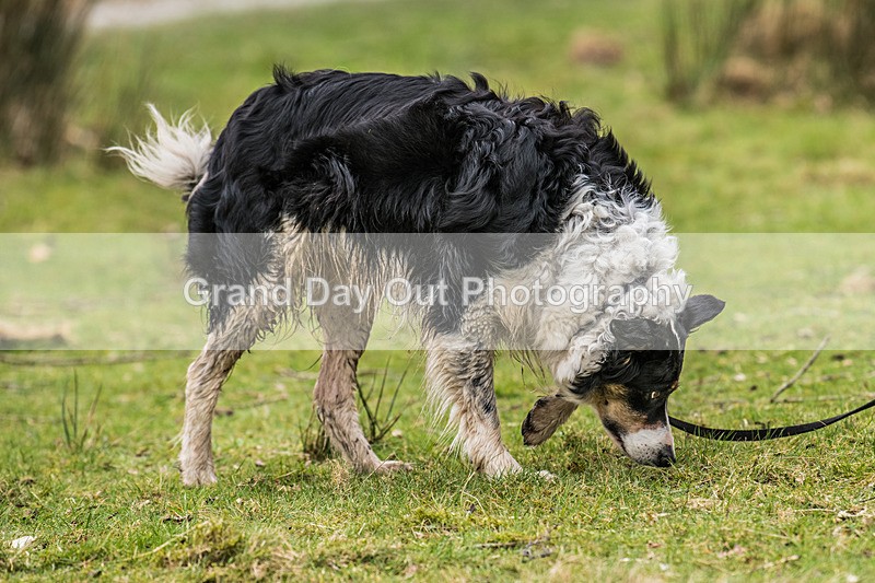 Buttermere-1353 - Fellside Events Buttermere Trail Race Sunday 22nd March 2026