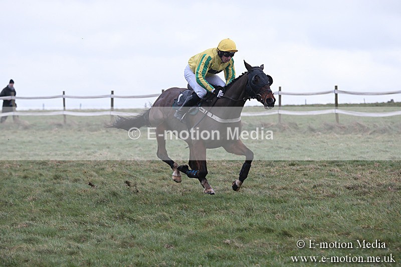 PtP 230119 84 - Royal Artillery Point-to-Point  - Larkhill  - 26/01/19