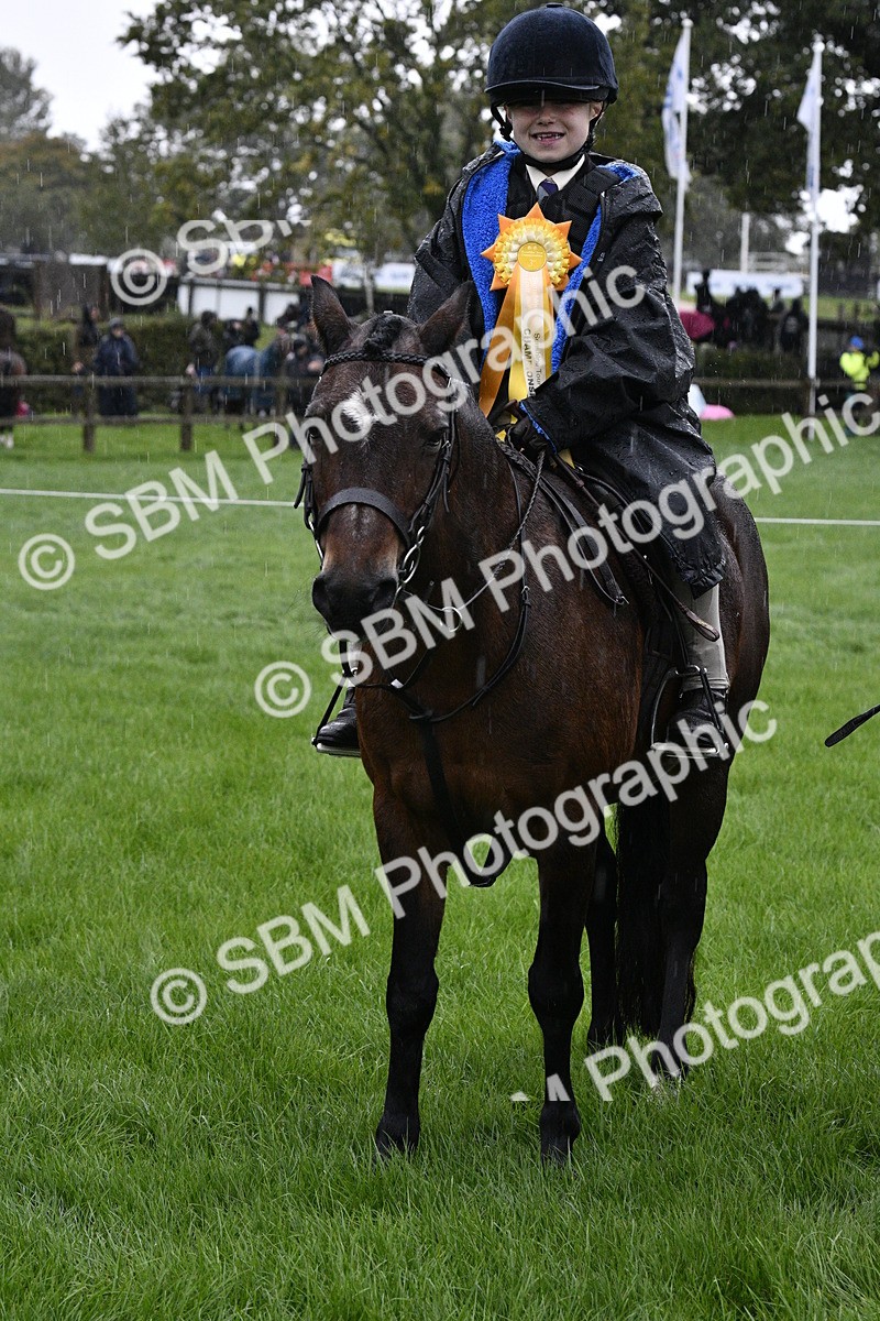 SBM_35581 - S30 - Nursery Stakes Working Hunter Pony