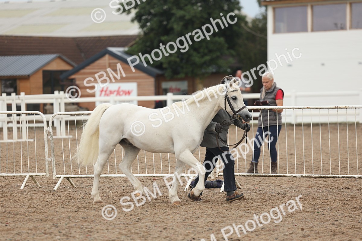 SBM_08490 - Class 29 - IH Veteran Pony