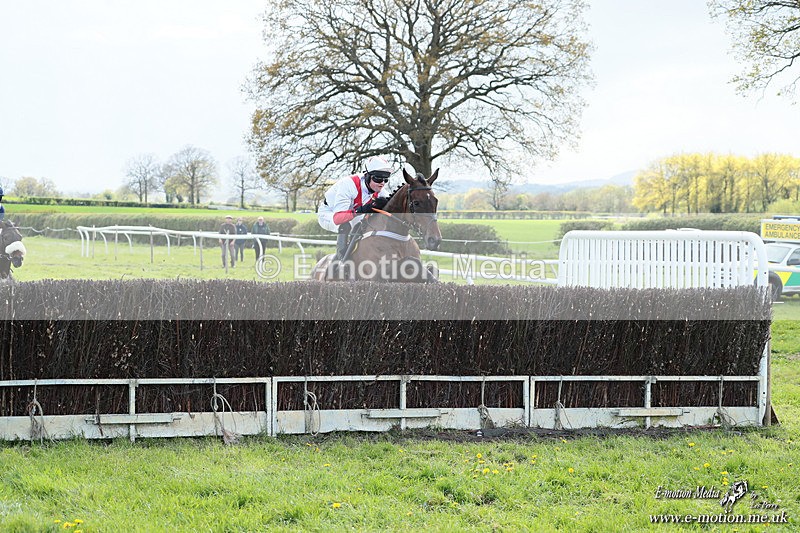 PtP 180426 1128 - Worcestershire Hunt PtP Chaddesley Corbett 18/04/26