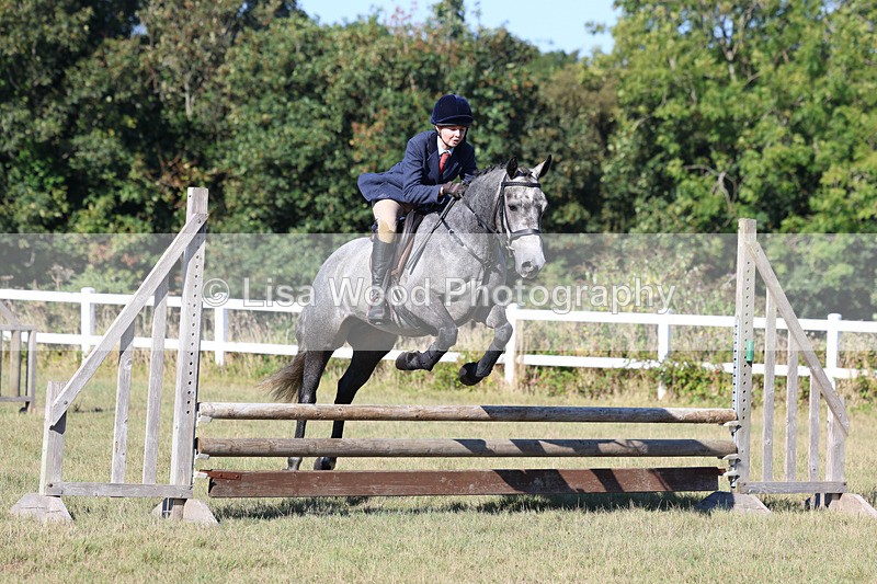 3E7A5461 - Class 3: Working Hunter 70cm