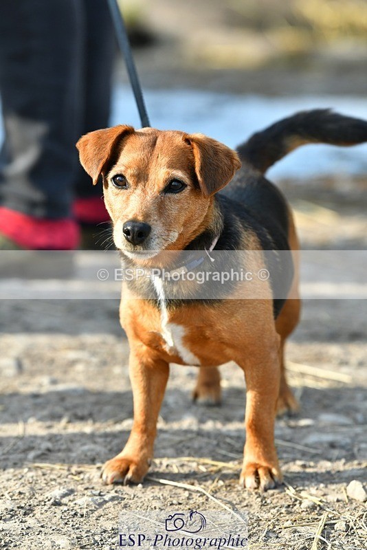 230817-083625-02430 - Stable Shots