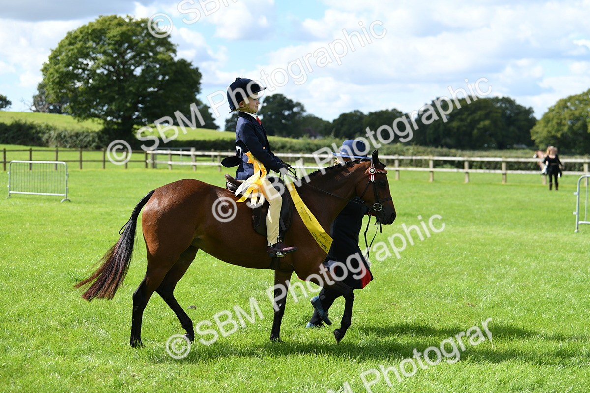 SBM_41278 - S19 - Lead Rein Show & Show Hunter Pony