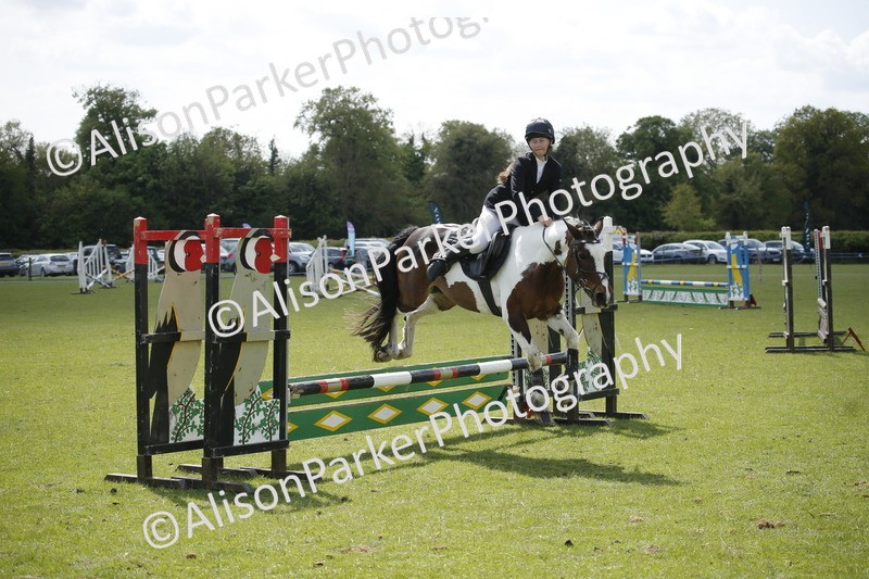 20250427-3714 - Class 14 - Absolute Novice 70cm