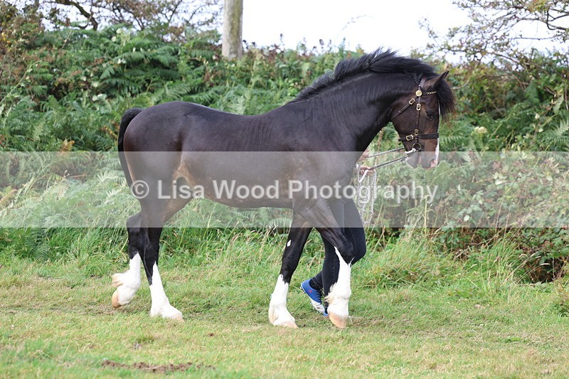 3E7A4041 - Class 15: Two Year Olds