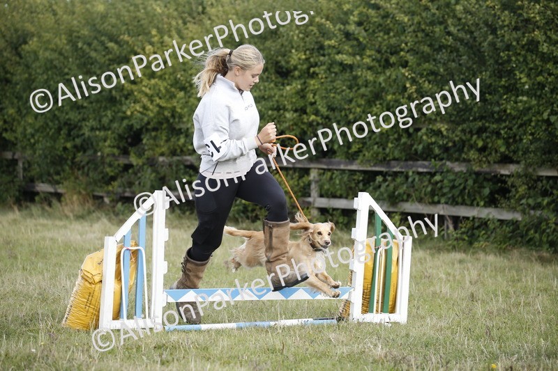 20250831-3865 - Dog Show