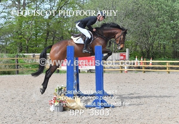 BPP_3803 - CLASS 3 Senior British Novice/ 90cm Open