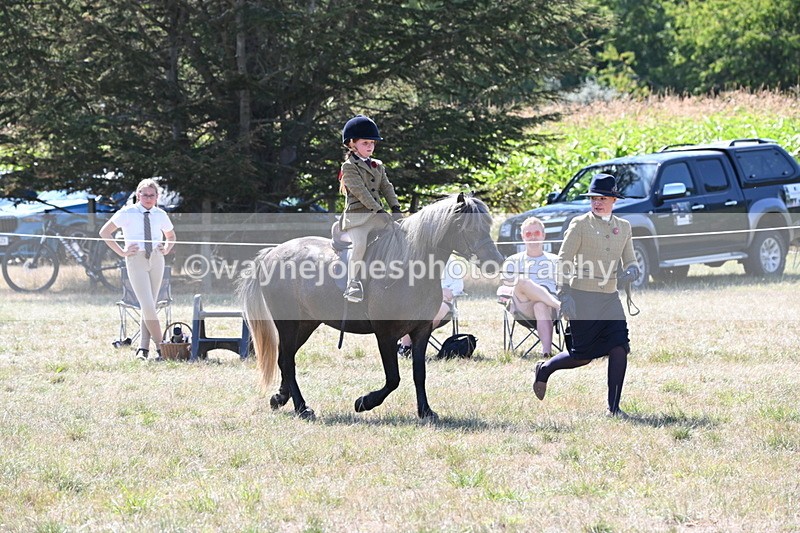 WJ6_7953 - Class 36 Lead Rein