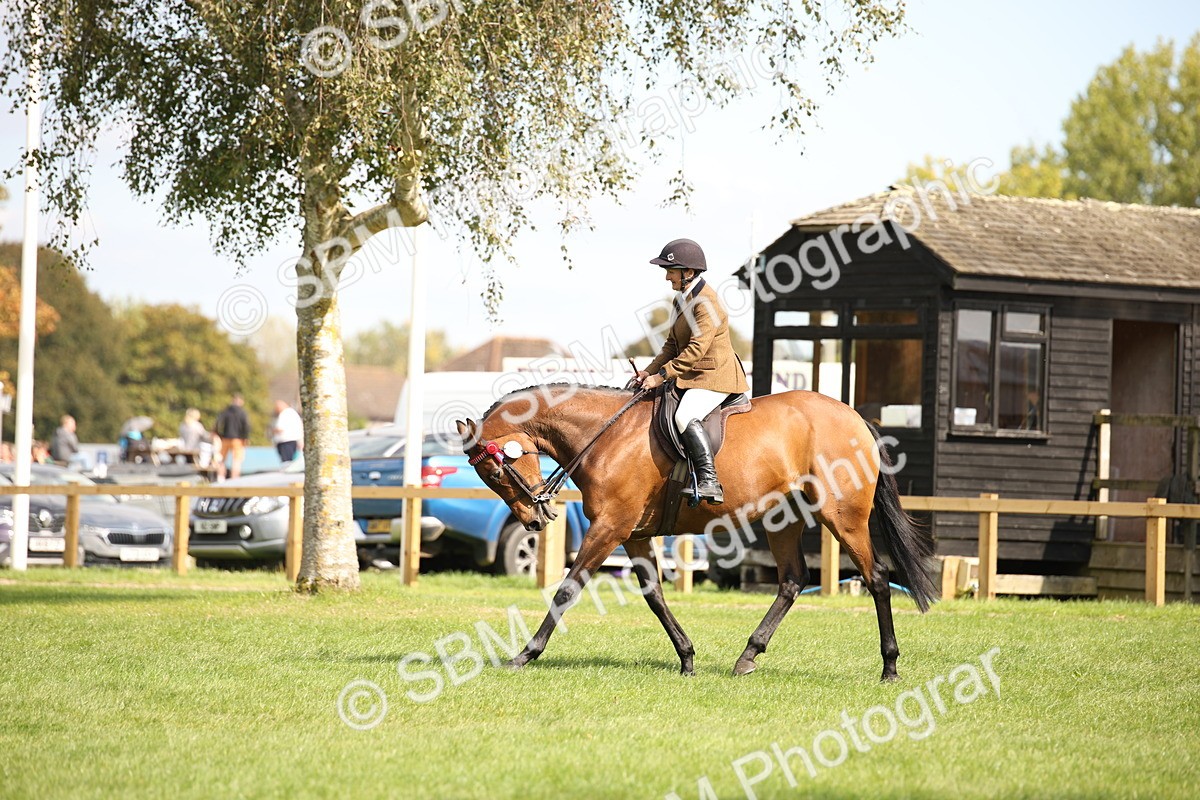 SBM_65962 - S64 - Riding Horse & Hack & Thoroughbred Ridden