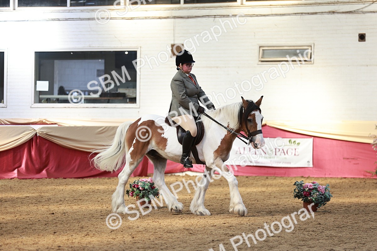 SBM_07106 - Class 10R - Regional Ridden Diamond