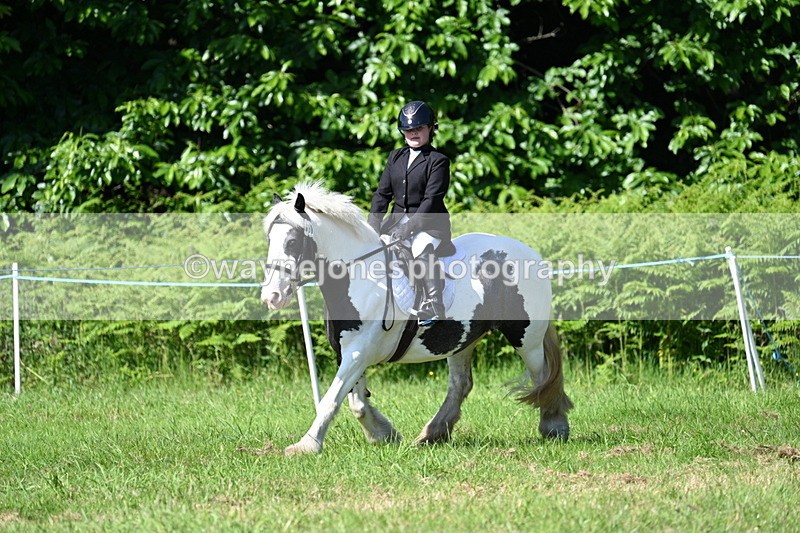 WJ7_0524 - Class 8 First Rally Pony