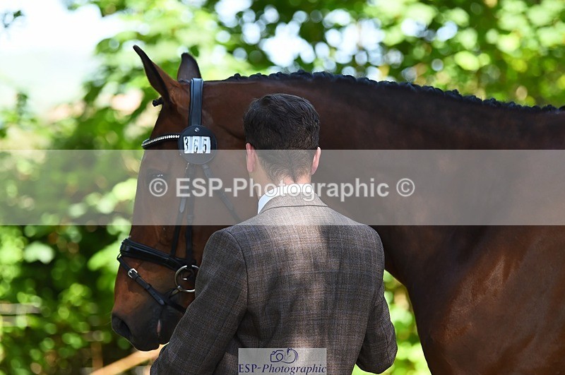 230524-154528-00481 - 365-BWE_NEWTON_DE_JASPER-Adam_Harvey-WEDTrotUp+DR