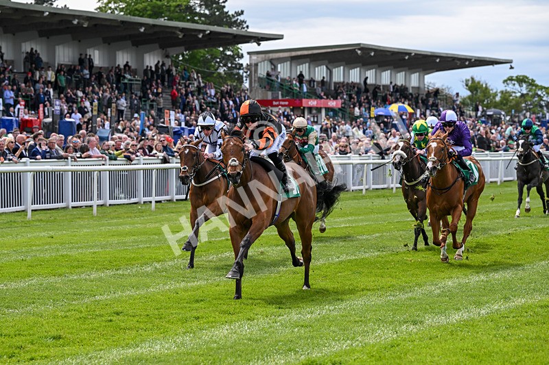 160526-Race 1-Dees Funny Girl-9209 - Race 1 1.52pm Marion Gibson Brown Memorial - Irish EBF Restricted Maiden Fillies' Stakes  (Div I)