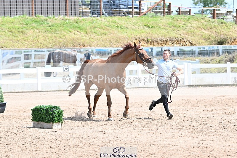 240717A-145947-02406 - Trot Up 2pm to 3pm - This folder is not in time order