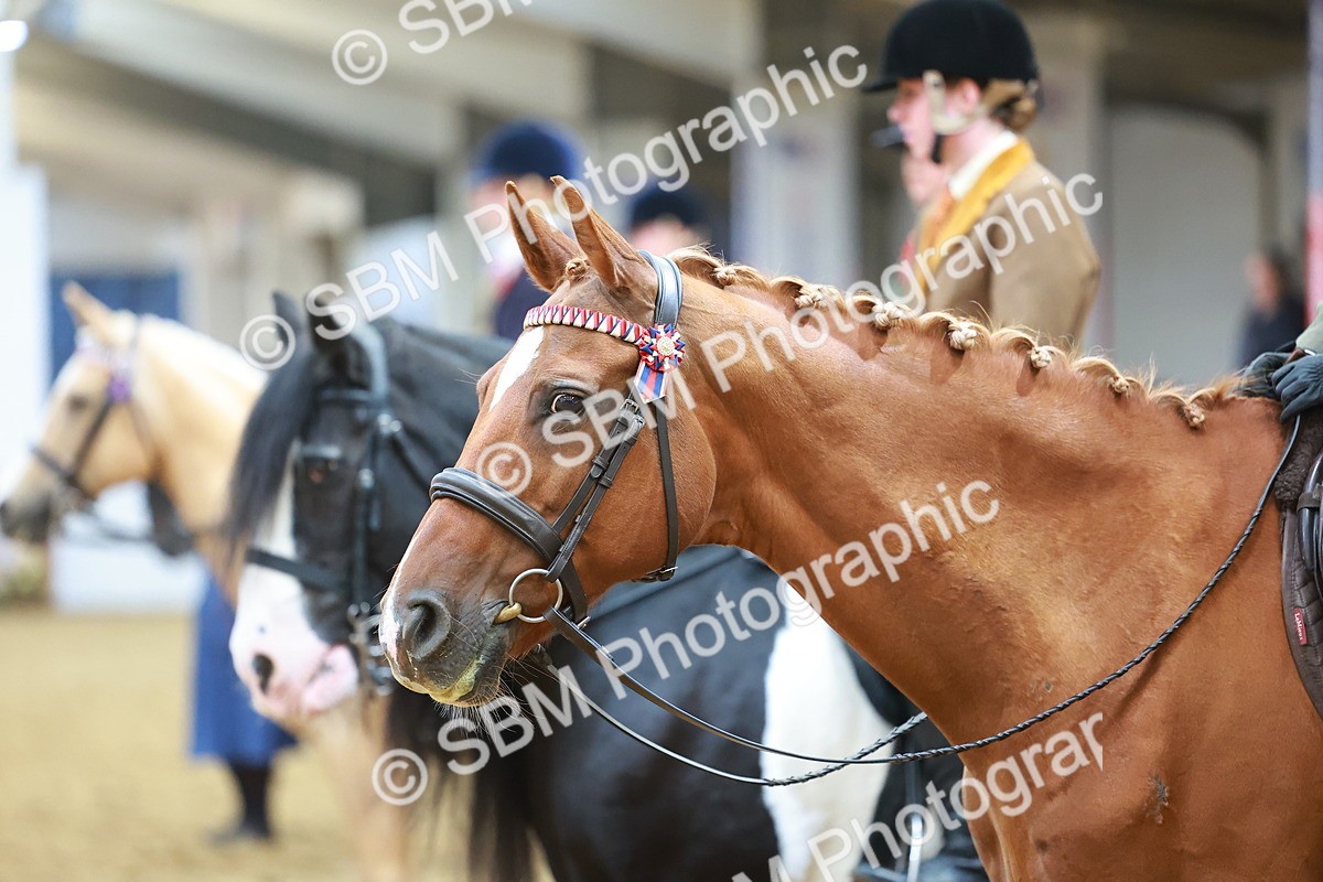 SBM_09695 - Class 102 - HOYS Veteran Qualifier - Ridden Veteran