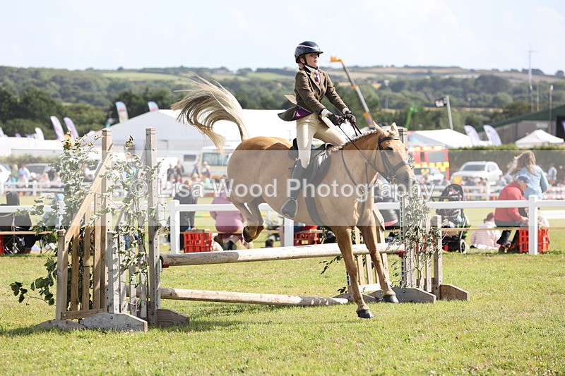 JPP_2705 - Class 20: Working Hunter 70cm