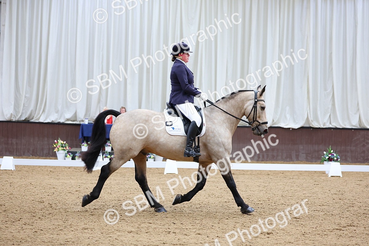 SBM_017149 - Class 16 - Novice FSM - 13.02-13.58