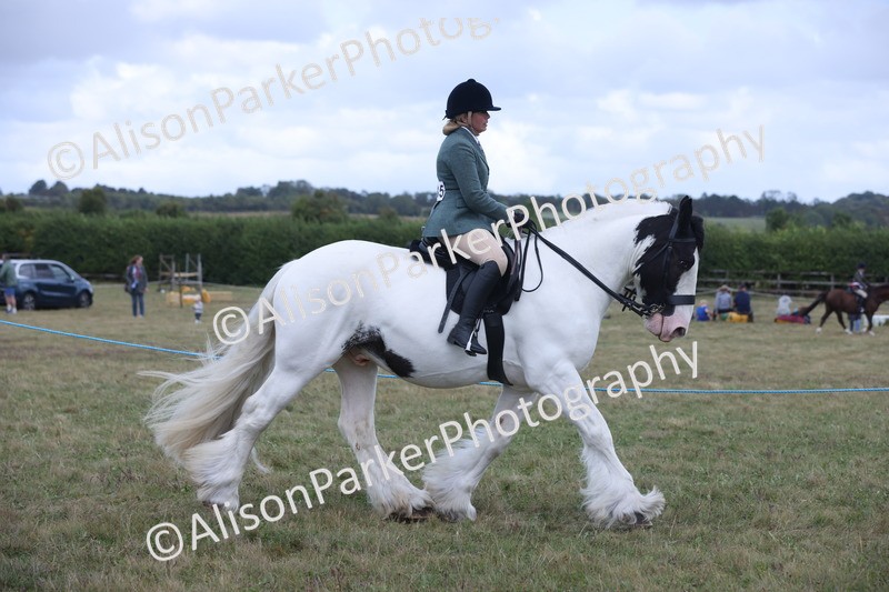 20250831-4220 - Class 20 - Ridden Coloured