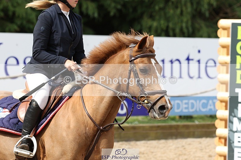 230617-100144-00982 - Cls 08a Pony 1.05