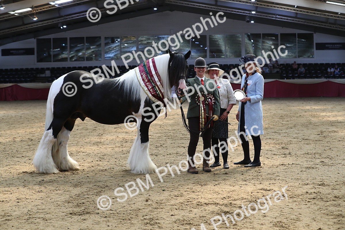 SBM_06577 - Regional IH Champ