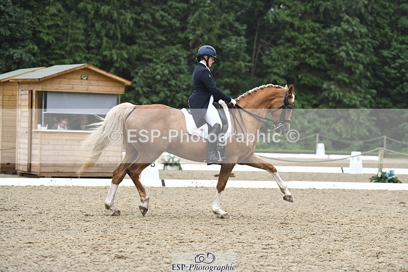 240720-144729-05805 - 187-Clare_Smith-Dori_Dragon_Fly