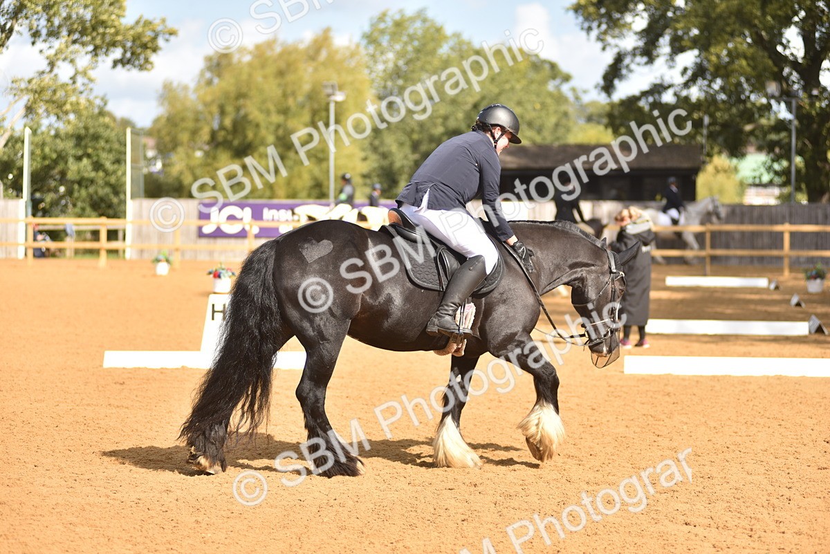 SBM_03041 - D4 - Small Tour Championship Intro 4