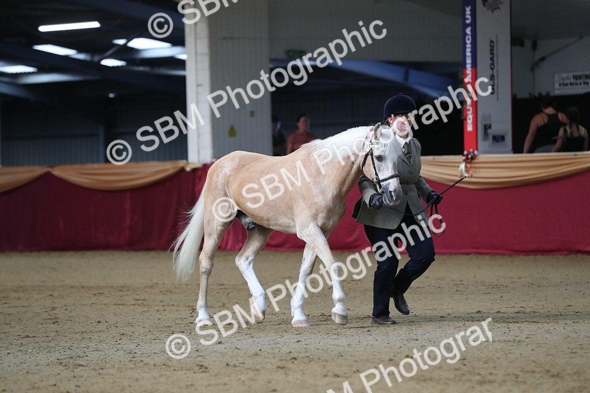 SBM_00300 - Class 1a - Area IH Diamond