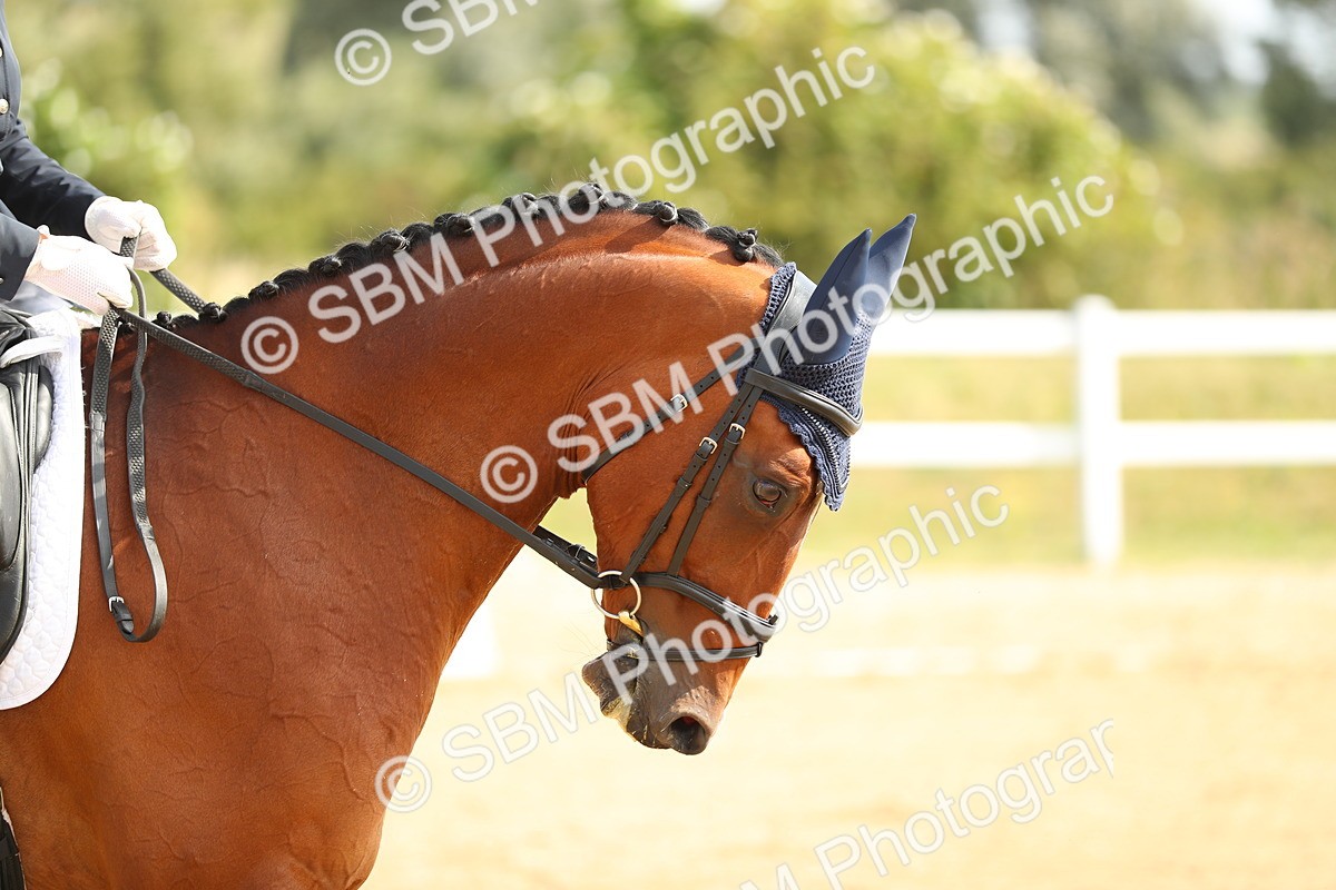 SBM_015491 - Class 14 - Novice 23 - 10.29-11.32