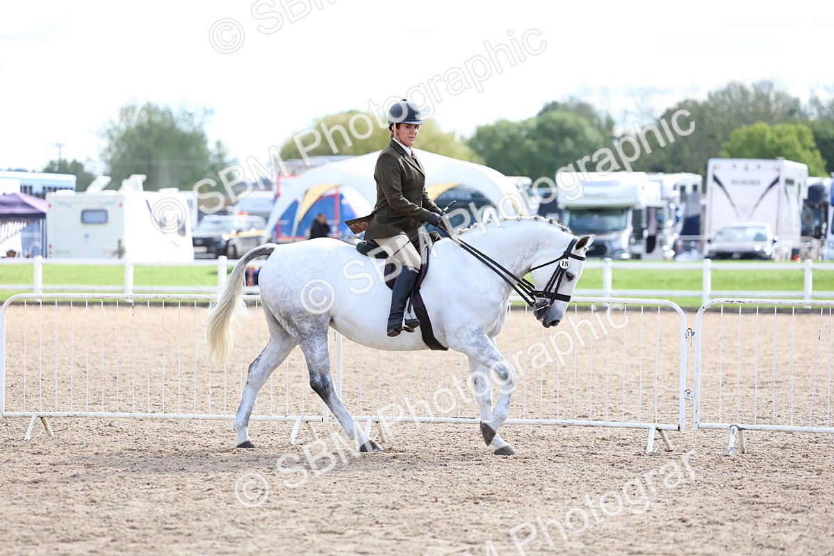 SBM_17125 - Class 315 - Best Horse - Rider Combination