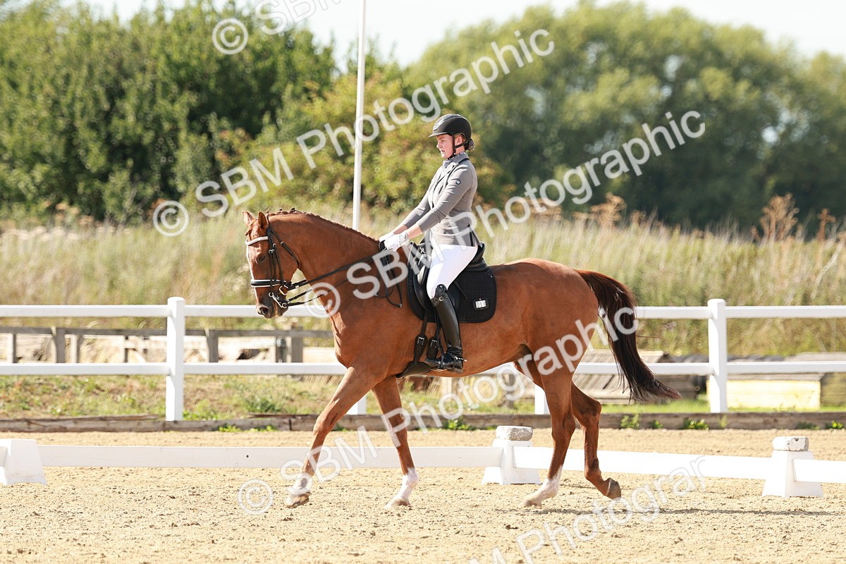 SBM_002551 - Class 11 - Medium 6