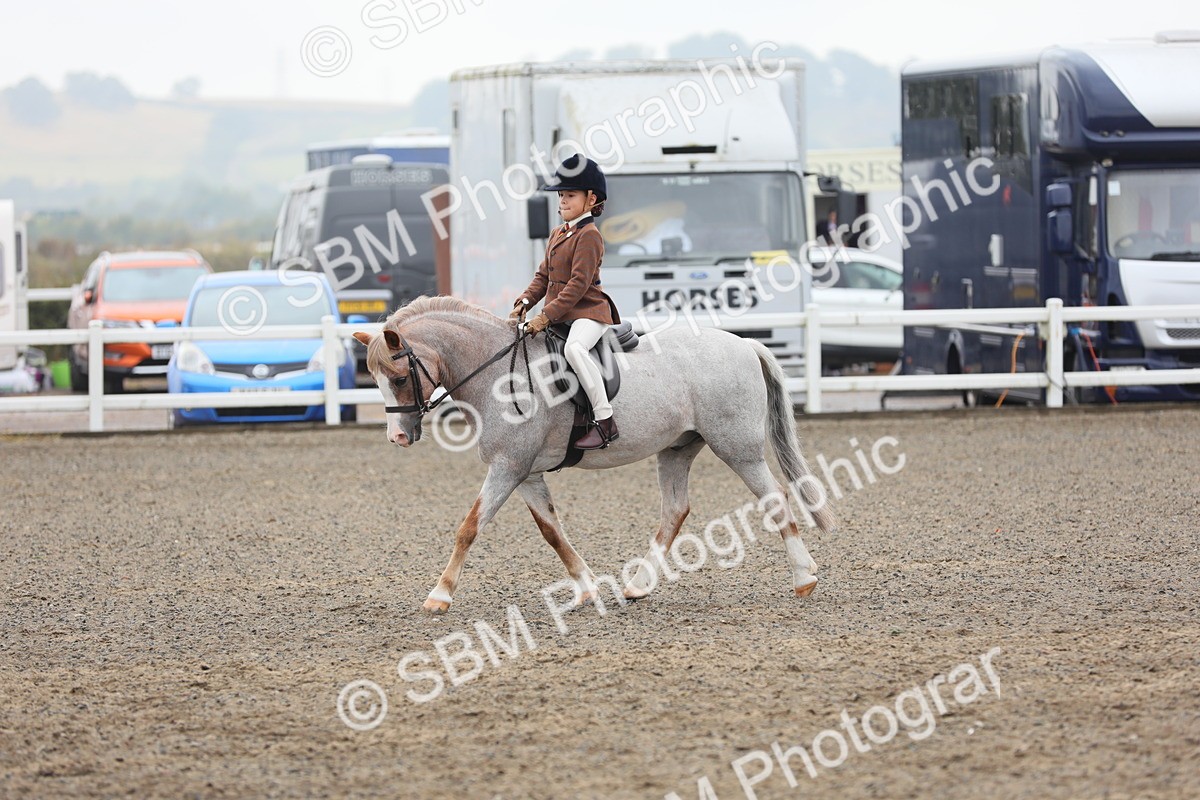 SBM_21817 - Class 806 - Young ridder 10 Yr & Under