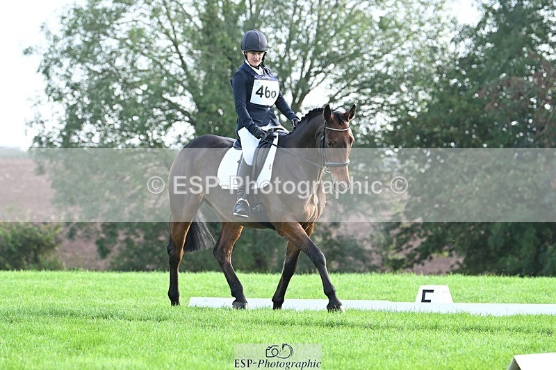 231020-095719-05811 - 466-SPARHANGER.VELVET-Tichy.Sanders-DR