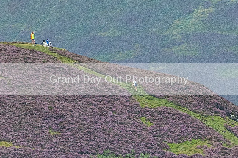 Barrow-13 - Barrow Fell Race Monday 26th August 2024
