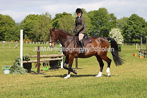 IMG_4642 - Working Hunter
