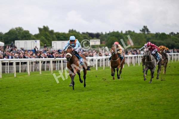 150624-Race 5-The Strikin Viking-7640 - Race 5 4.10pm Reg Griffin Appreciation ebfstallions.com Maiden Stakes