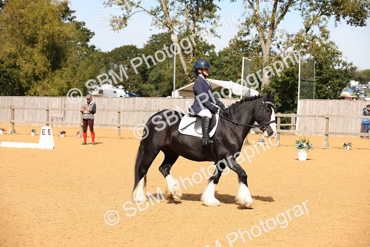 SBM_21721 - D5 - Small Tour Championship - Intro C