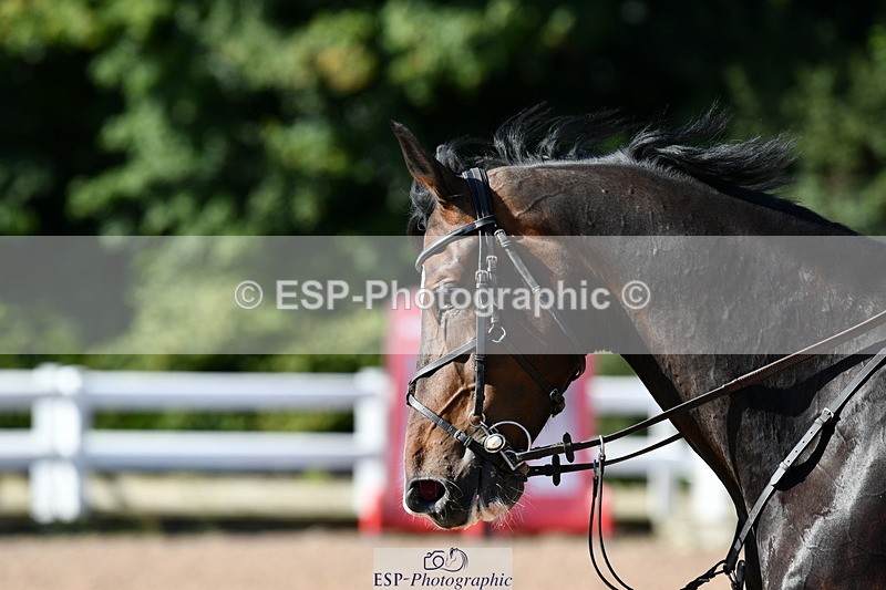 240913A-105352-03572 - Cls 21 Snr Discovery and 1m Open