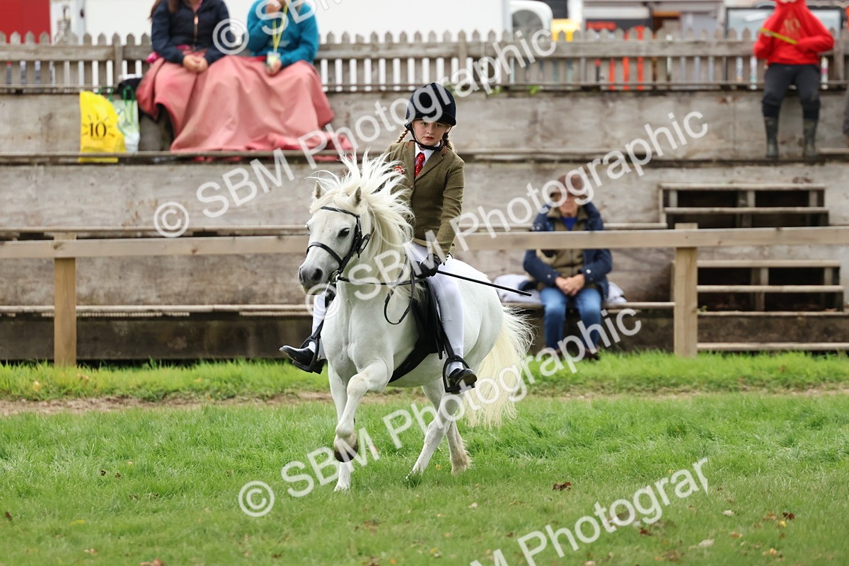 SBM_67483 - S61 - Mountain & Moorland Ridden