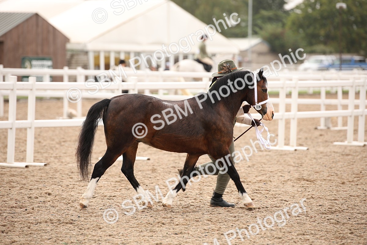SBM_21441 - Class 706 - IH  Veteran