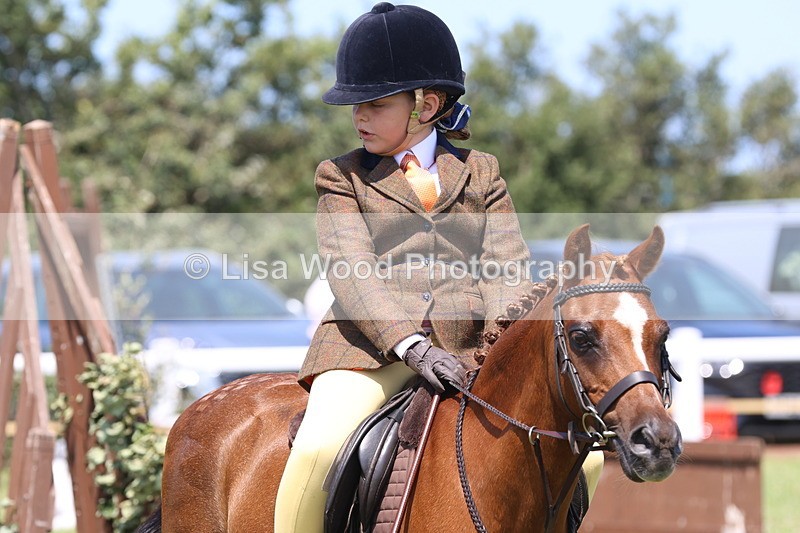 JPP_2347 - Class 20: Tiny Tots Working Hunter Pony