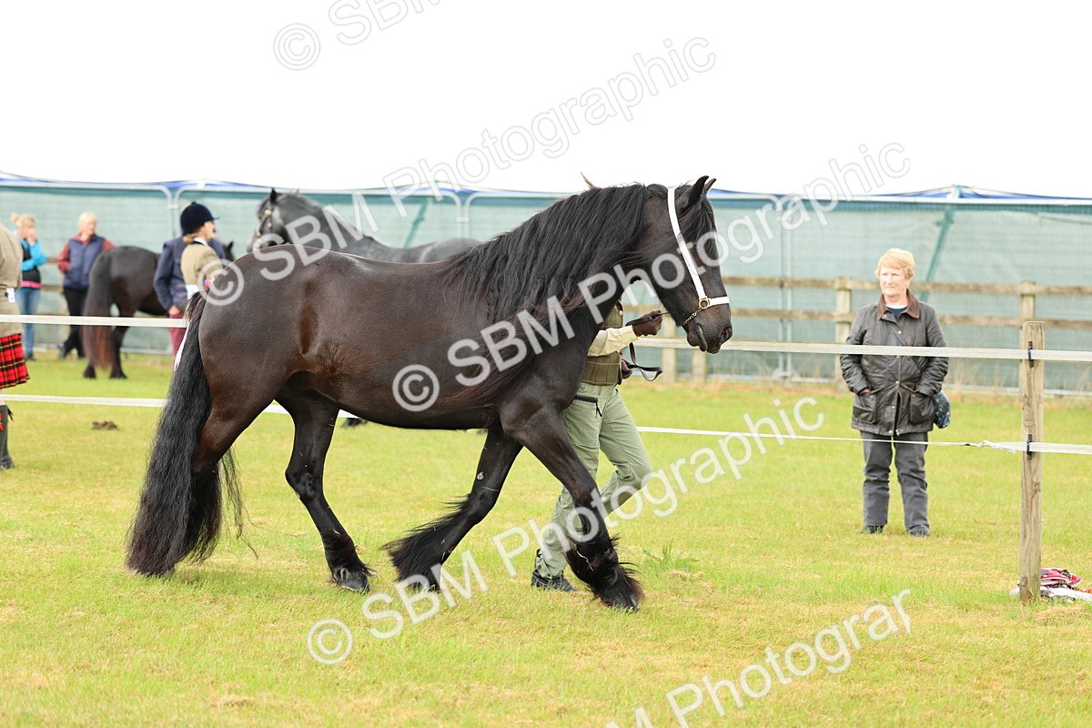 SBM_00479 - Class 58-67 - M&M Non Welsh Pony In hand