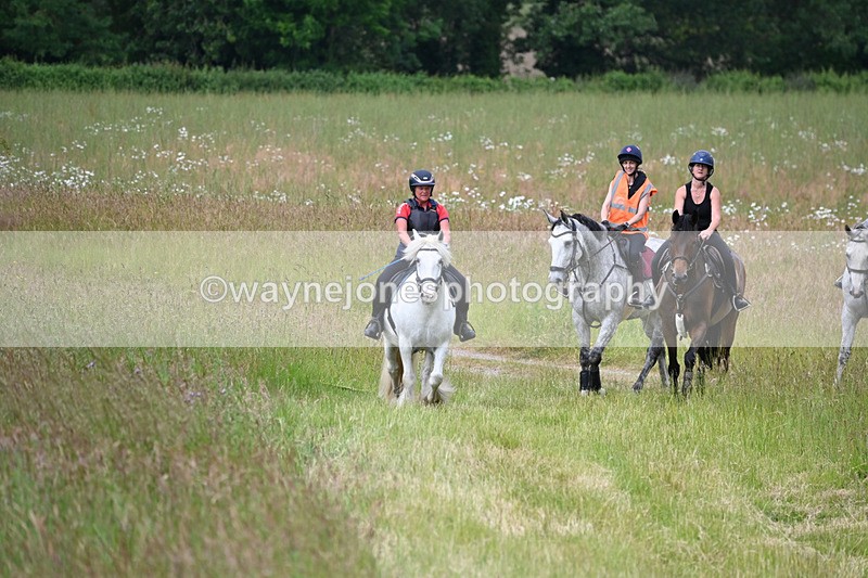 WJ6_8030 - Camera 1 Gallops
