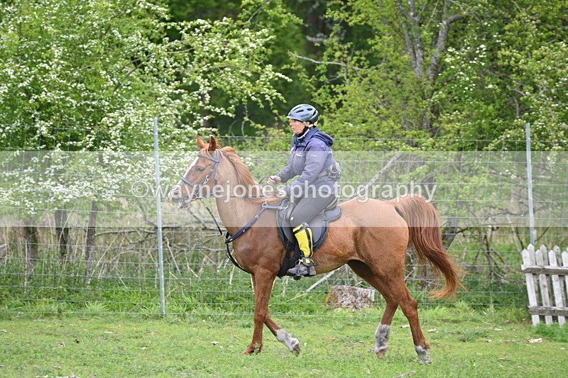 WJ6_3232 - A camera