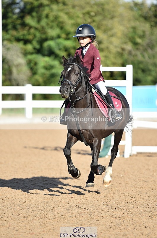 230903A-090032-03423 - Cls 17 Pony Intro 75cm