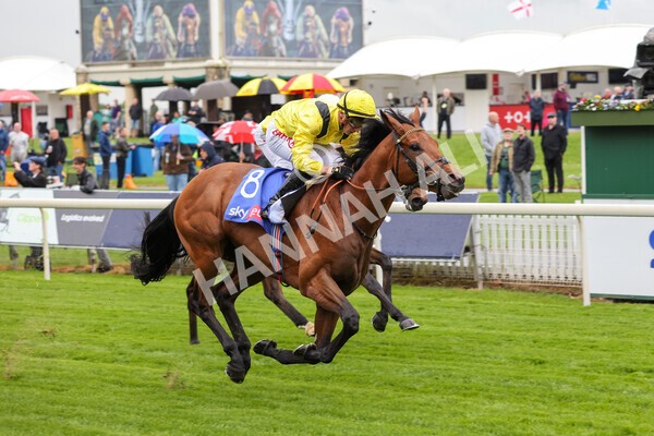 yr11052022r1-22 - Race 1 1.50pm Sky Bet Race to the Ebor Jorvik Stakes
