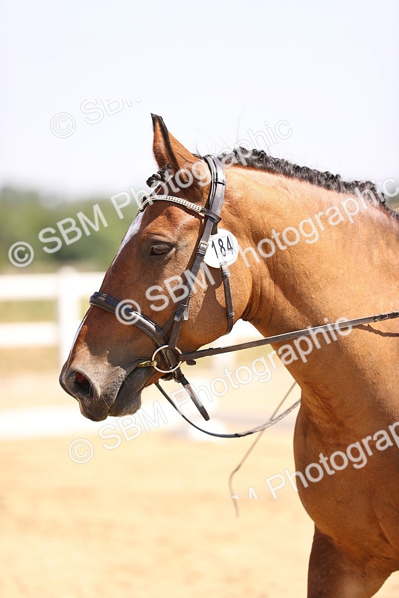 SBM_004019 - Intro 2
