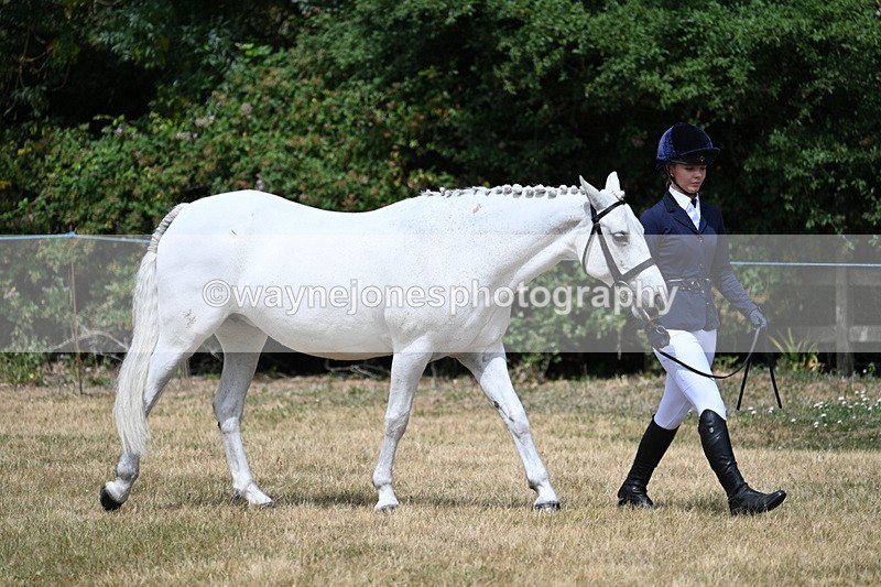 WJ7_1633 - Class 4 Prettiest Mare up to 14.2hh in hand